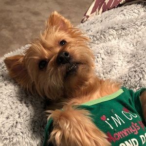 Meet your Posher, Megan